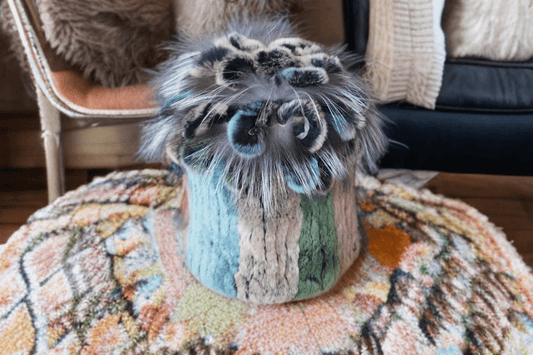 Czapka futrzana z futra królika szynszylo - rexa kolor, REX - 1 - LEU